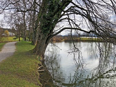 Küçük Schubelweiher Gölü (Schuebelweiher) veya Pond Schubelweiher, Kusnacht am Zurichsee (Kuesnacht am Zuerichsee) - Zürih Kantonu