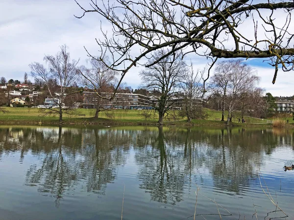 Μικρή Λίμνη Schubelweiher Schuebelweiher Pond Schubelweiher Kusnacht Zurichsee Kuesnacht Zuerichsee — Φωτογραφία Αρχείου