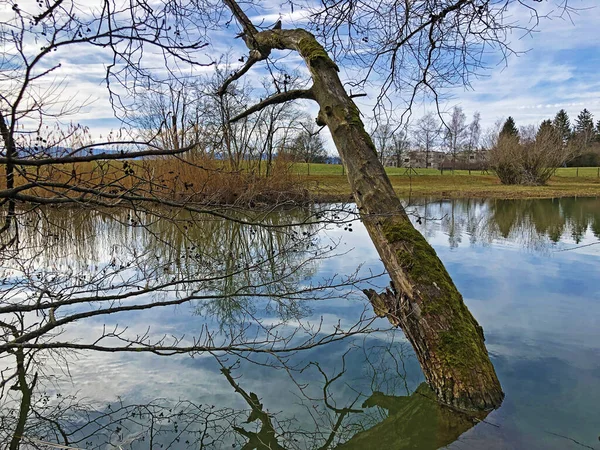 小さな湖Schubelweiher Schubelweiher または池Schubelweiher Kusnacht Zurichsee Kuesnacht Zuerichsee チューリッヒのカントン — ストック写真