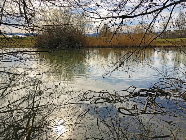 Malé Jezero Schubelweiher Schuebelweiher Nebo Rybník Schubelweiher Kusnacht Zurichsee Kuesnacht — Stock fotografie