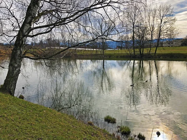 小さな湖Schubelweiher Schubelweiher または池Schubelweiher Kusnacht Zurichsee Kuesnacht Zuerichsee チューリッヒのカントン — ストック写真