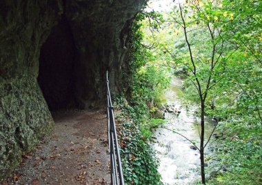 Skocjan Mağara Parkı 'ndaki Rak nehrinin kanyonu ve boğazı (Unesco Dünya Mirası) - Divaca, Slovenya