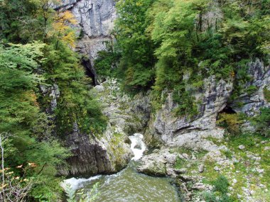 Skocjan Mağara Parkı 'ndaki Rak nehrinin kanyonu ve boğazı (Unesco Dünya Mirası) - Divaca, Slovenya