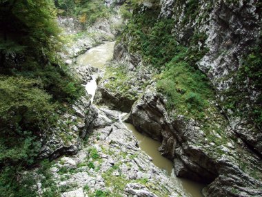 Skocjan Mağara Parkı 'ndaki Rak nehrinin kanyonu ve boğazı (Unesco Dünya Mirası) - Divaca, Slovenya