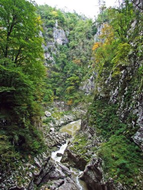 Skocjan Mağara Parkı 'ndaki Rak nehrinin kanyonu ve boğazı (Unesco Dünya Mirası) - Divaca, Slovenya