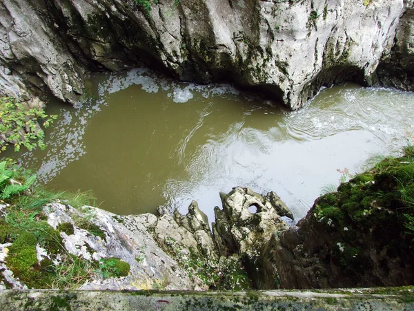 Φαράγγι Και Φαράγγι Του Ποταμού Rak Στο Skocjan Caves Park — Φωτογραφία Αρχείου