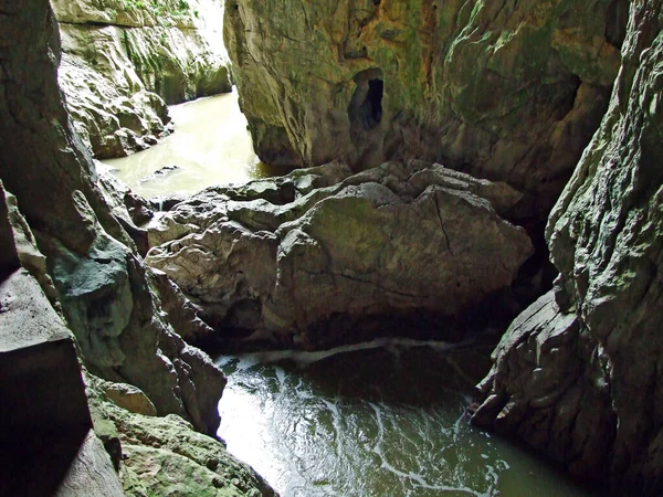 Kanion Wąwóz Rzeki Rak Parku Jaskiń Skocjańskich Światowe Dziedzictwo Unesco — Zdjęcie stockowe