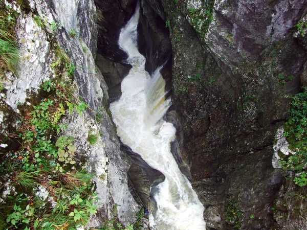 Skocjan Mağara Parkı Ndaki Rak Nehrinin Kanyonu Boğazı Unesco Dünya — Stok fotoğraf