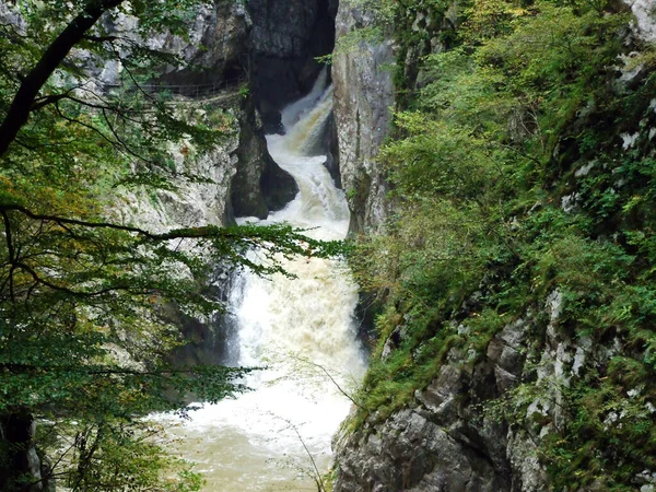 Rak Folyó Kanyonja Szurdoka Skocjan Barlangparkban Unesco Világörökség Divaca Szlovénia — Stock Fotó