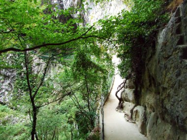 Skocjan Mağara Parkı (Unesco Dünya Mirası) veya Park Skocjanske Cezaevi - Divaca, Slovenya