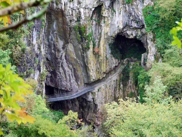 Parque Las Cuevas Skocjan Patrimonio Humanidad Por Unesco Parque Skocjanske —  Fotos de Stock