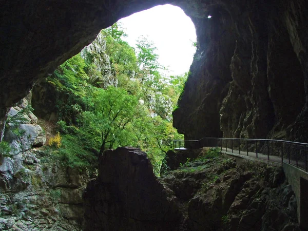 Skocjan Caves Park Παγκόσμια Κληρονομιά Της Unesco Park Skocjanske Jame — Φωτογραφία Αρχείου