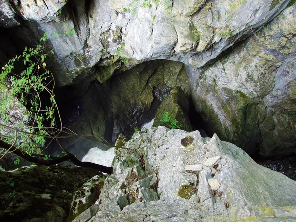 Parque Das Cavernas Skocjan Património Mundial Unesco Parque Skocjanske Jame — Fotografia de Stock