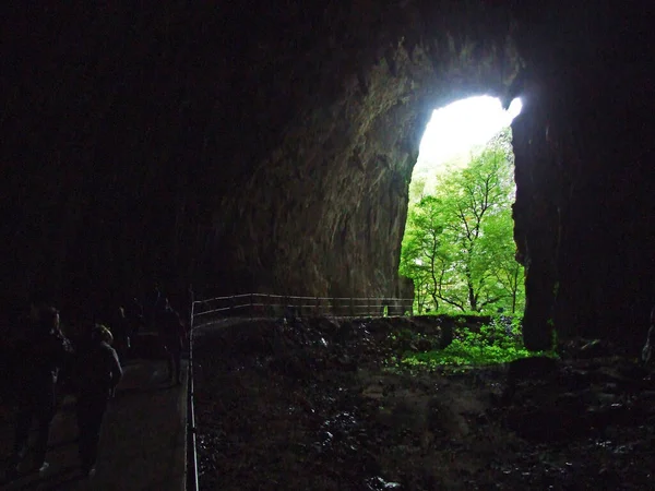 Skocjan Mağara Parkı Unesco Dünya Mirası Veya Park Skocjanske Cezaevi — Stok fotoğraf
