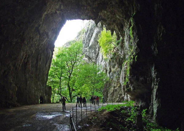 Parque Las Cuevas Skocjan Patrimonio Humanidad Por Unesco Parque Skocjanske —  Fotos de Stock