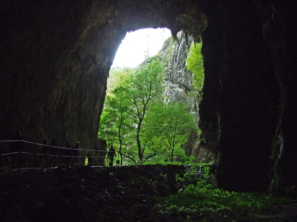 Skocjan Caves Park Unesco World Heritage Park Skocjanske Jame Divaca — Stock Photo, Image