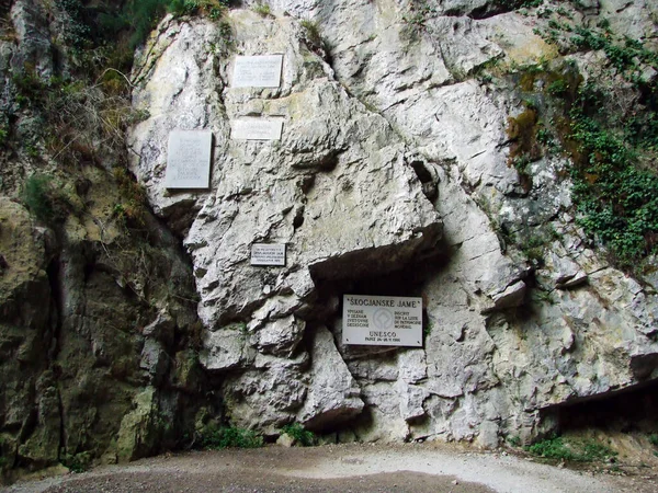 Skocjan Mağara Parkı Unesco Dünya Mirası Veya Park Skocjanske Cezaevi — Stok fotoğraf
