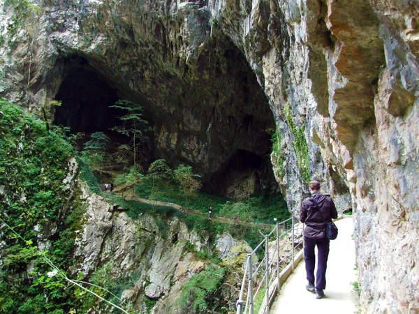 Skocjan Caves Park Unesco World Heritage Park Skocjanske Jame Divaca — Stock Photo, Image