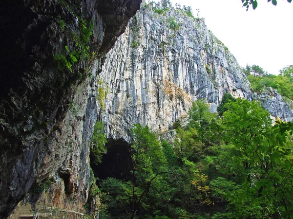 Skocjan Barlangpark Unesco Világörökség Vagy Park Skocjanske Jame Divaca Szlovénia — Stock Fotó