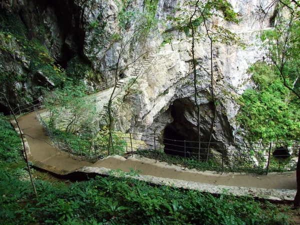 Skocjan洞穴公园 联合国世界遗产 或公园Skocjanske Jame Divaca 斯洛文尼亚 — 图库照片