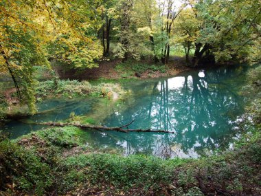 Gorge Rakov Skocjan Vadisi (Rakek veya Notranjski regijski park Rakov Skocjan), Notranjska Bölgesel peyzaj parkı Rakov Skocjan - Cerknica, Slovenya (Slovenya))