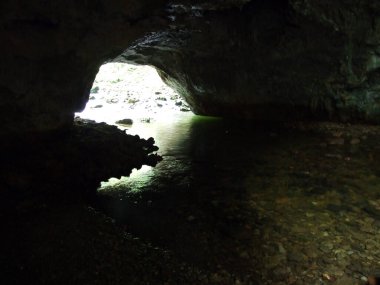 Gorge Rakov Skocjan Vadisi (Rakek veya Notranjski regijski park Rakov Skocjan), Notranjska Bölgesel peyzaj parkı Rakov Skocjan - Cerknica, Slovenya (Slovenya))