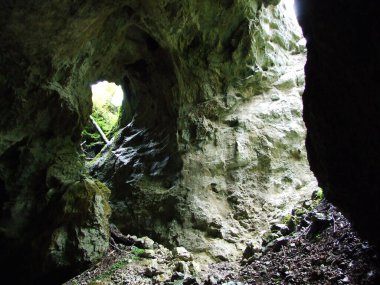 Gorge Rakov Skocjan Vadisi (Rakek veya Notranjski regijski park Rakov Skocjan), Notranjska Bölgesel peyzaj parkı Rakov Skocjan - Cerknica, Slovenya (Slovenya))
