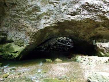 Gorge Rakov Skocjan Vadisi (Rakek veya Notranjski regijski park Rakov Skocjan), Notranjska Bölgesel peyzaj parkı Rakov Skocjan - Cerknica, Slovenya (Slovenya))
