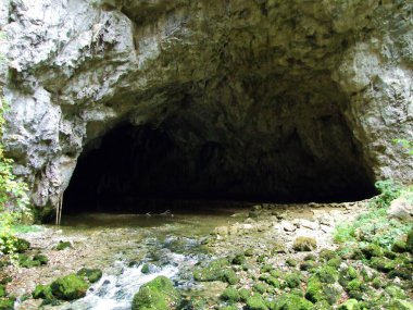 Gorge Rakov Skocjan Vadisi (Rakek veya Notranjski regijski park Rakov Skocjan), Notranjska Bölgesel peyzaj parkı Rakov Skocjan - Cerknica, Slovenya (Slovenya))