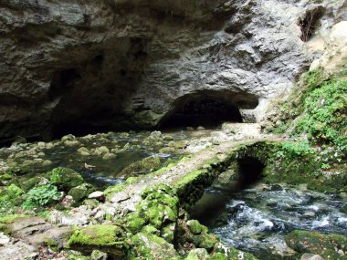 Gorge Rakov Skocjan Vadisi (Rakek veya Notranjski regijski park Rakov Skocjan), Notranjska Bölgesel peyzaj parkı Rakov Skocjan - Cerknica, Slovenya (Slovenya))