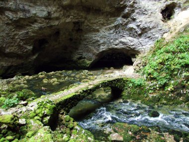 Gorge Rakov Skocjan Vadisi (Rakek veya Notranjski regijski park Rakov Skocjan), Notranjska Bölgesel peyzaj parkı Rakov Skocjan - Cerknica, Slovenya (Slovenya))