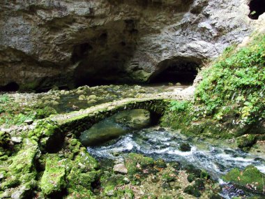 Gorge Rakov Skocjan Vadisi (Rakek veya Notranjski regijski park Rakov Skocjan), Notranjska Bölgesel peyzaj parkı Rakov Skocjan - Cerknica, Slovenya (Slovenya))