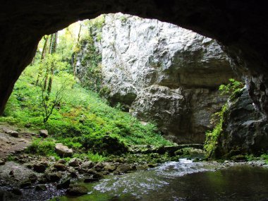 Gorge Rakov Skocjan Vadisi (Rakek veya Notranjski regijski park Rakov Skocjan), Notranjska Bölgesel peyzaj parkı Rakov Skocjan - Cerknica, Slovenya (Slovenya))