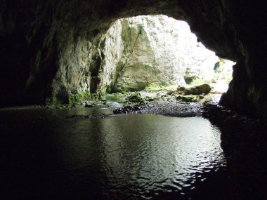 Gorge Rakov Skocjan Vadisi (Rakek veya Notranjski regijski park Rakov Skocjan), Notranjska Bölgesel peyzaj parkı Rakov Skocjan - Cerknica, Slovenya (Slovenya))