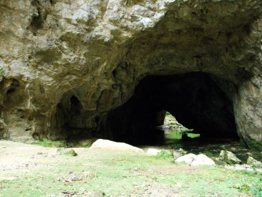 Gorge Rakov Skocjan Vadisi (Rakek veya Notranjski regijski park Rakov Skocjan), Notranjska Bölgesel peyzaj parkı Rakov Skocjan - Cerknica, Slovenya (Slovenya))