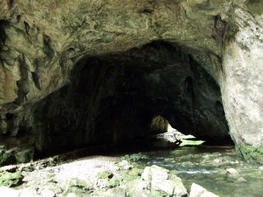 Gorge Rakov Skocjan Vadisi (Rakek veya Notranjski regijski park Rakov Skocjan), Notranjska Bölgesel peyzaj parkı Rakov Skocjan - Cerknica, Slovenya (Slovenya))
