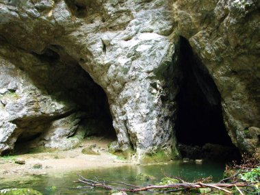 Gorge Rakov Skocjan Vadisi (Rakek veya Notranjski regijski park Rakov Skocjan), Notranjska Bölgesel peyzaj parkı Rakov Skocjan - Cerknica, Slovenya (Slovenya))
