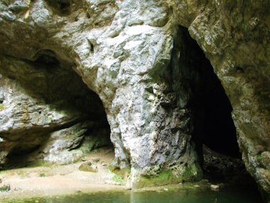 Gorge Rakov Skocjan Vadisi (Rakek veya Notranjski regijski park Rakov Skocjan), Notranjska Bölgesel peyzaj parkı Rakov Skocjan - Cerknica, Slovenya (Slovenya))