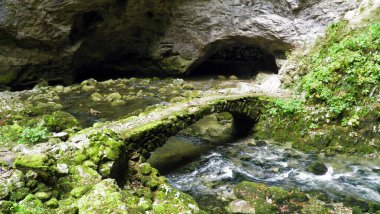 Gorge Rakov Skocjan Vadisi (Rakek veya Notranjski regijski park Rakov Skocjan), Notranjska Bölgesel peyzaj parkı Rakov Skocjan - Cerknica, Slovenya (Slovenya))