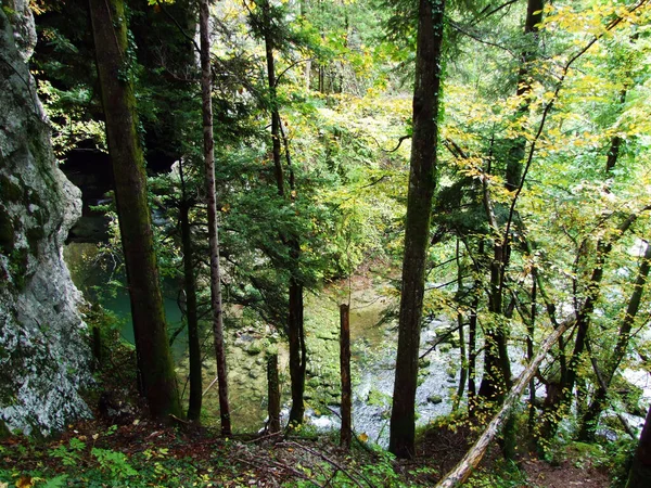 Gorge Rakov Skocjan Vallei Rakek Notranjski Regijski Park Rakov Skocjan — Stockfoto