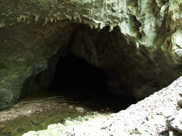 Gorge Rakov Skocjan Valley Rakek Notranjski Regijski Park Rakov Skocjan — Foto de Stock