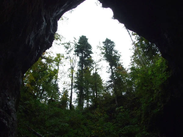 Gorge Rakov Skocjan Valley Rakek Lub Notranjski Regijski Park Rakov — Zdjęcie stockowe