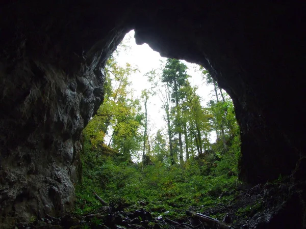 Gorge Rakov Skocjan Valley Rakek Lub Notranjski Regijski Park Rakov — Zdjęcie stockowe