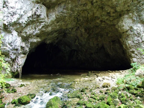 Gorge Rakov Skocjan Vadisi (Rakek veya Notranjski regijski park Rakov Skocjan), Notranjska Bölgesel peyzaj parkı Rakov Skocjan - Cerknica, Slovenya (Slovenya))