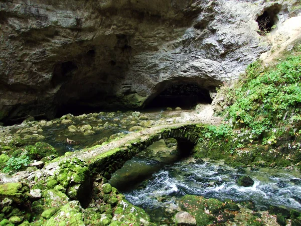 Φαράγγι Rakov Skocjan Valley Rakek Notranjski Regijski Park Rakov Skocjan — Φωτογραφία Αρχείου