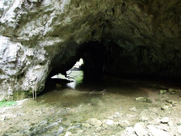 Gorge Rakov Údolí Skocjan Rakek Nebo Notranjski Regijski Park Rakov — Stock fotografie