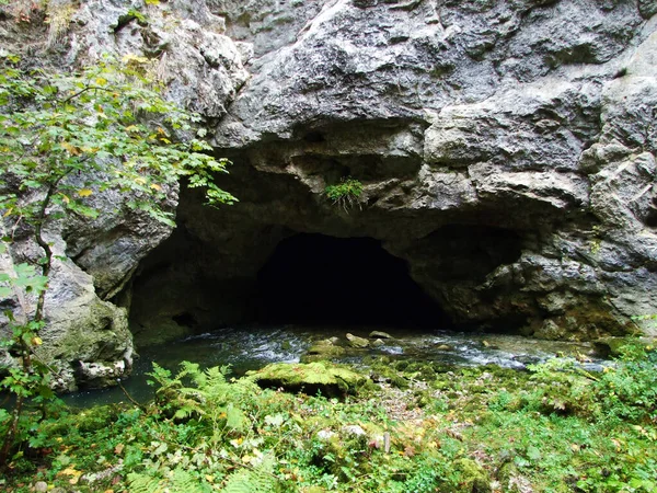 Φαράγγι Rakov Skocjan Valley Rakek Notranjski Regijski Park Rakov Skocjan — Φωτογραφία Αρχείου