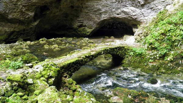 Gorge Rakov Údolí Skocjan Rakek Nebo Notranjski Regijski Park Rakov — Stock fotografie