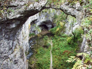 Rakov Skocjan Vadisi 'ndeki Küçük doğal köprü (Rakek veya Notranjski rejimi parkı Rakov Skocjan), Notranjska Bölgesel peyzaj parkı Rakov Skocjan - Cerknica, Slovenya (Slovenya))
