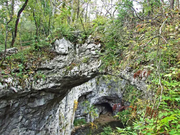 Mały Naturalny Most Dolinie Rakov Skocjan Rakek Lub Notranjski Regijski — Zdjęcie stockowe